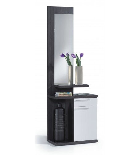 Recibidor 1 cajón + 1 puerta + espejo