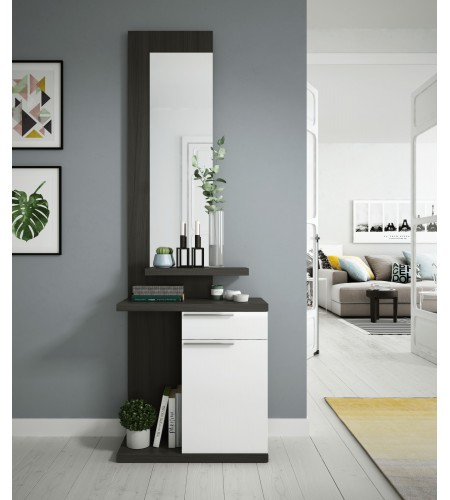 Recibidor 1 cajón + 1 puerta + espejo