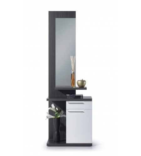 Recibidor 1 cajón + 1 puerta + espejo